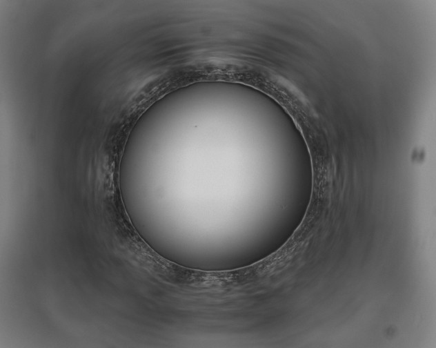 X0000096961013200802151230