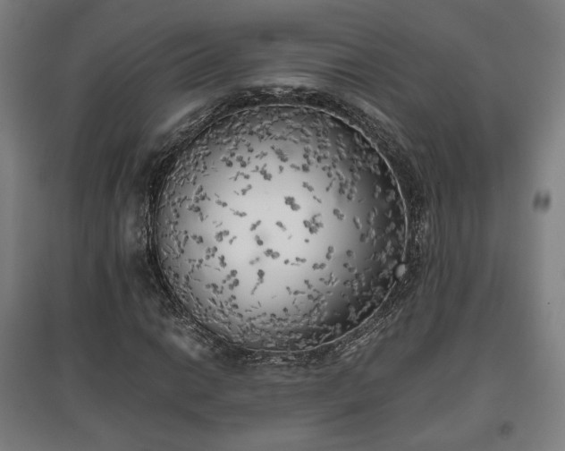 X0000096961014200802151230