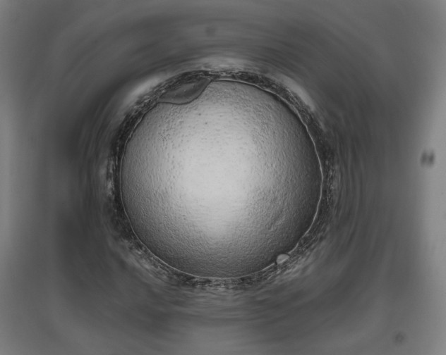 X0000096961016200802151230