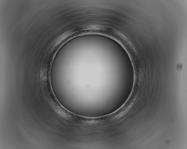 X0000096961017200802151230