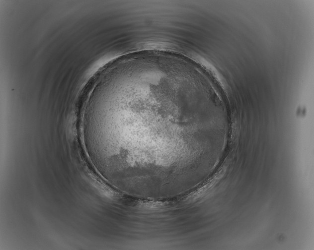 X0000096961019200802151231