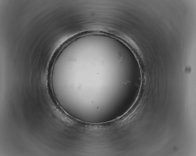 X0000096961020200802151231