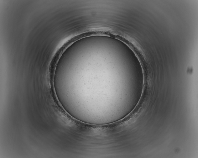 X0000096961022200802151231