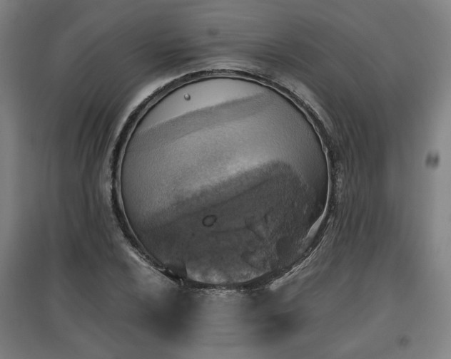 X0000096961024200802151231