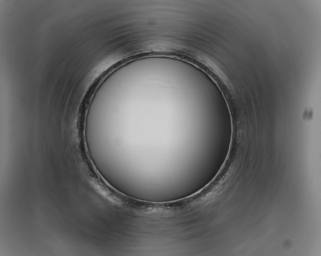 X0000096961026200802151231