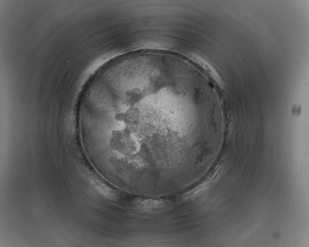 X0000096961027200802151231