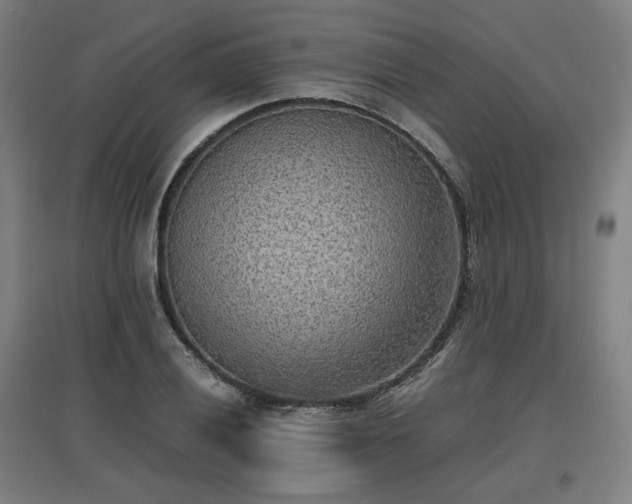 X0000096961028200802151231