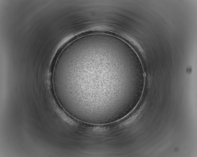 X0000096961029200802151231