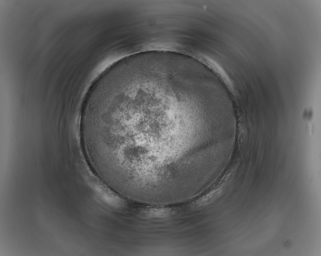 X0000096961035200802151231