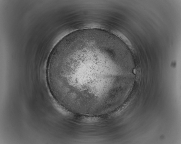 X0000096961039200802151231