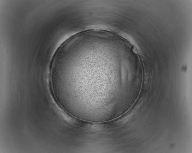 X0000096961040200802151231