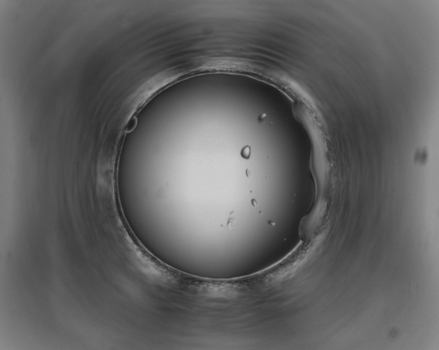 X0000096961041200802151231