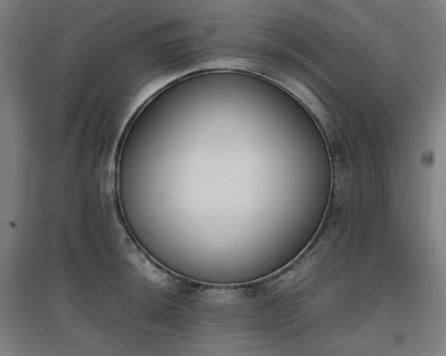 X0000096961044200802151231