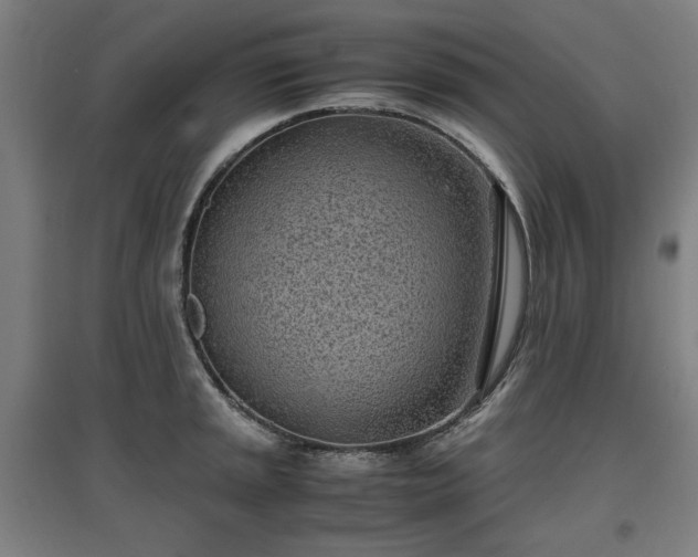 X0000096961045200802151231