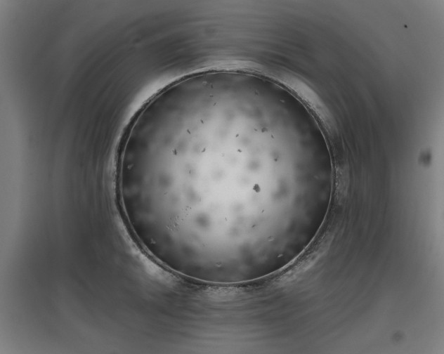 X0000096961046200802151231