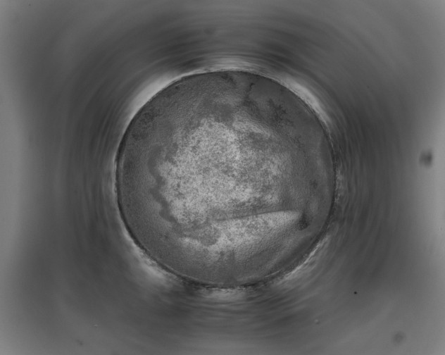 X0000096961047200802151231