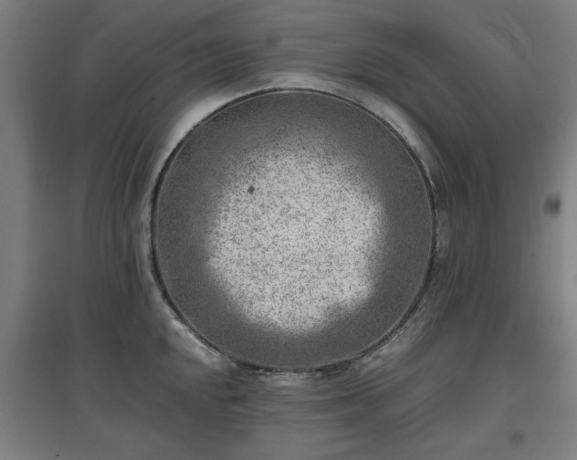 X0000096961048200802151231