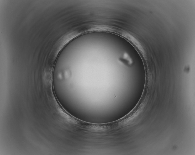 X0000096961049200802151231