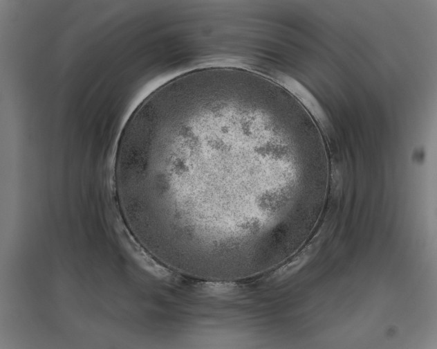 X0000096961052200802151231