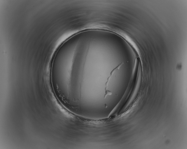 X0000096961053200802151231