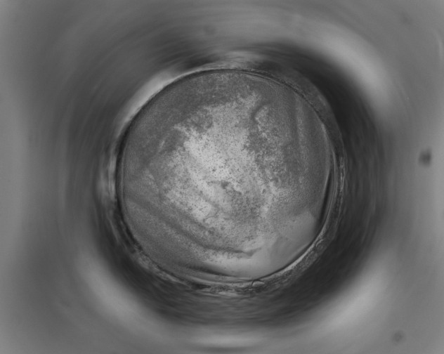 X0000096961054200802151231