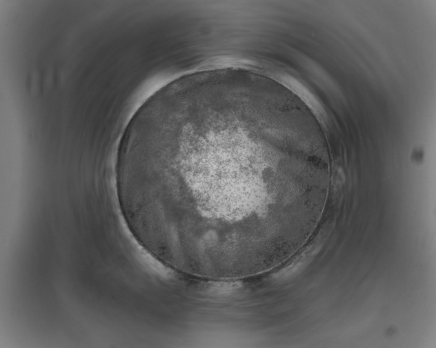 X0000096961055200802151231