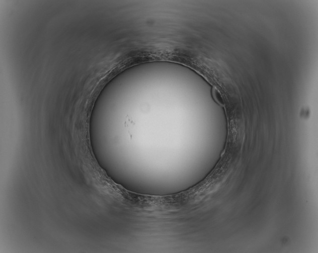 X0000096961057200802151230