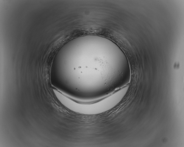 X0000096961058200802151230