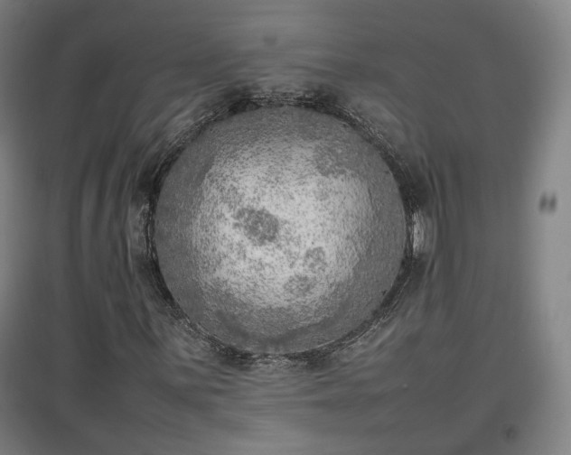 X0000096961059200802151230