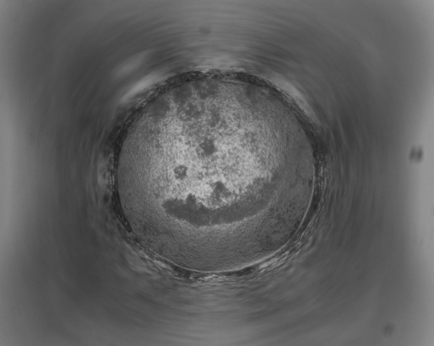 X0000096961063200802151230