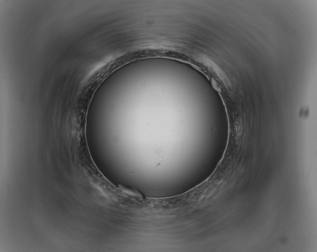 X0000096961064200802151230