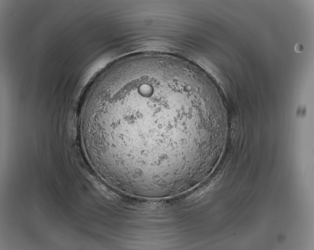 X0000096961067200802151230