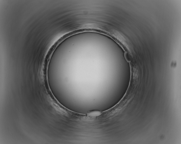 X0000096961068200802151230