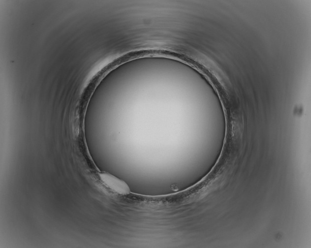 X0000096961069200802151230