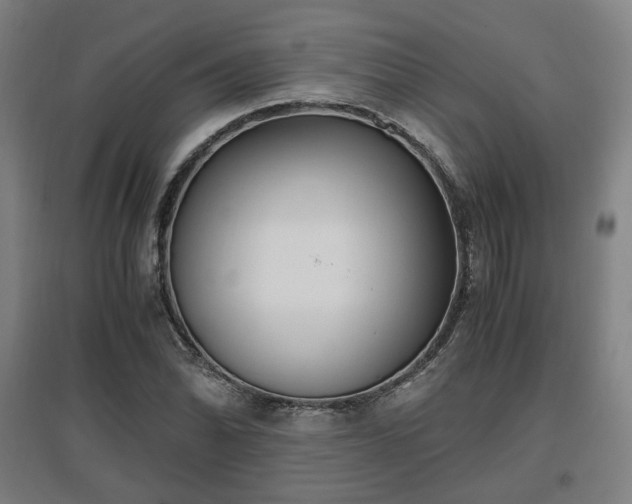 X0000096961070200802151230