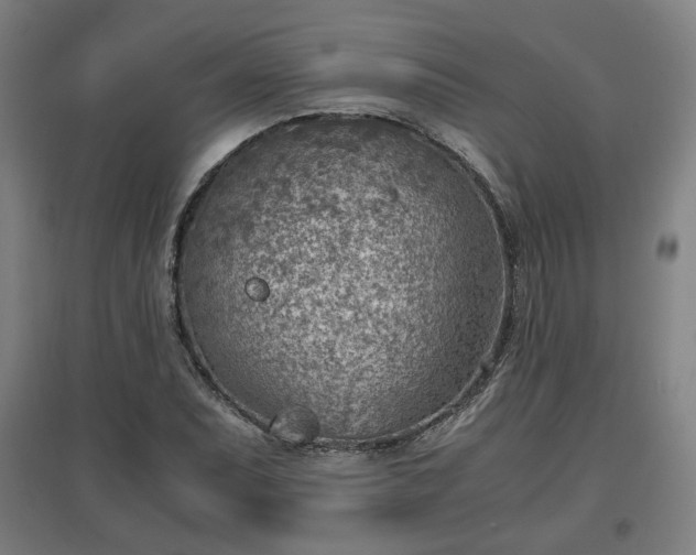 X0000096961071200802151230