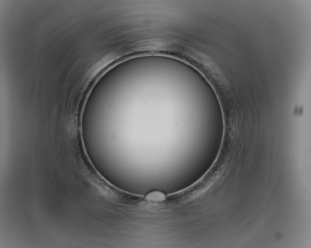 X0000096961073200802151230