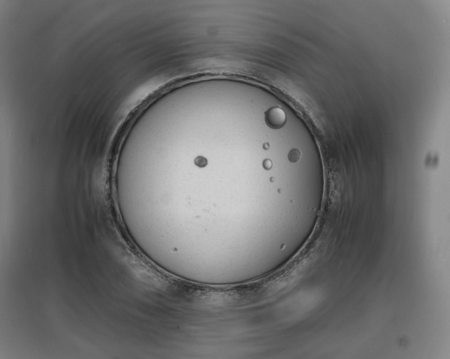 X0000096961074200802151230