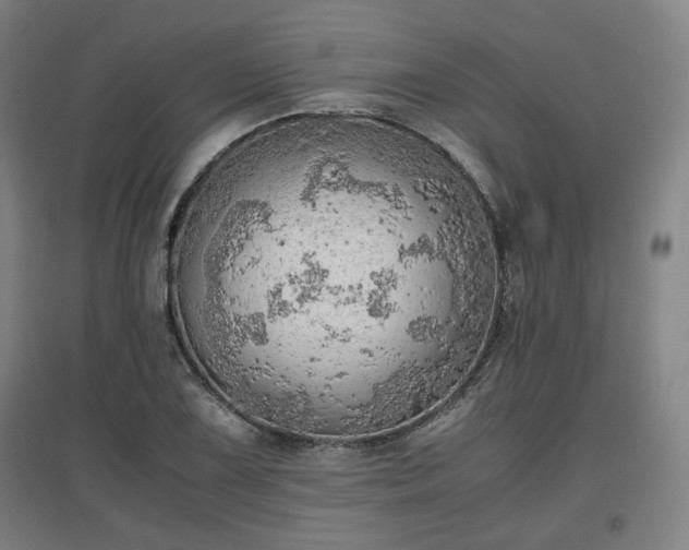 X0000096961075200802151230