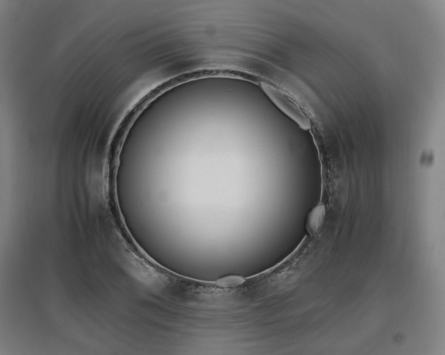 X0000096961076200802151230