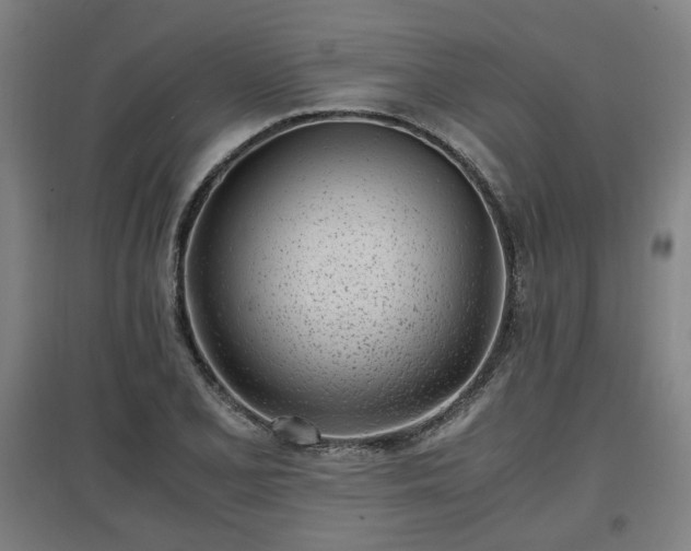 X0000096961077200802151230