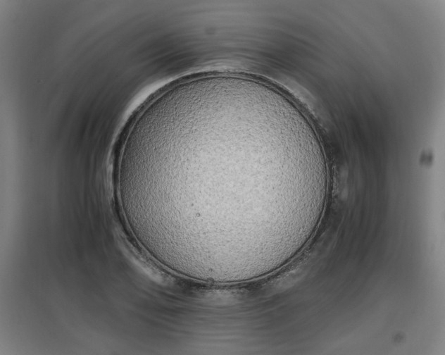 X0000096961078200802151230