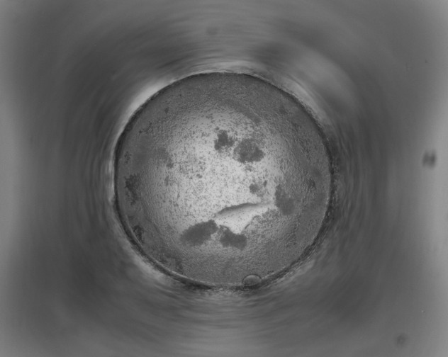 X0000096961079200802151230