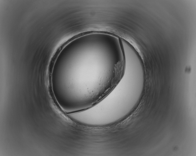 X0000096961080200802151230