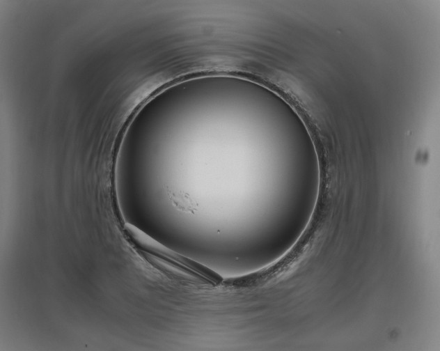 X0000096961081200802151230