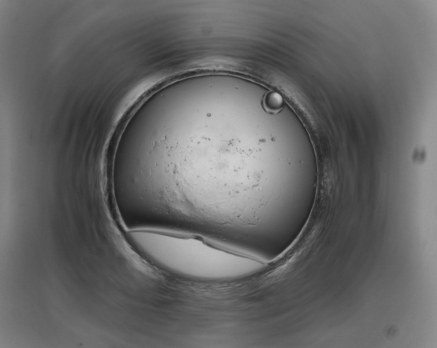 X0000096961082200802151230