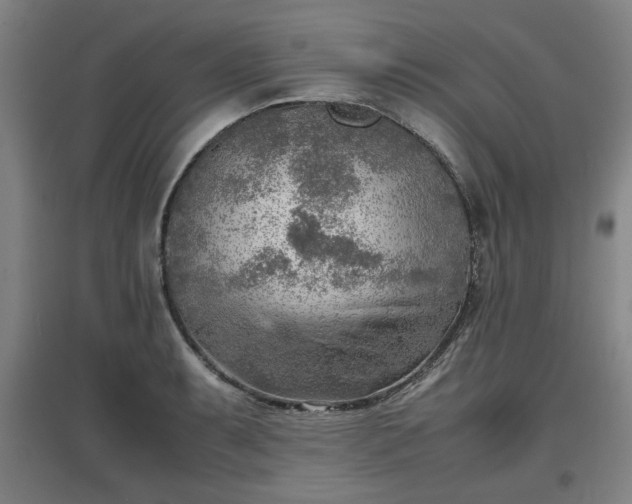 X0000096961087200802151230