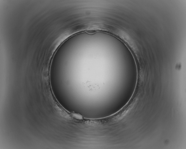 X0000096961089200802151230