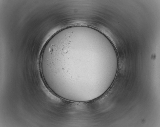 X0000096961090200802151230