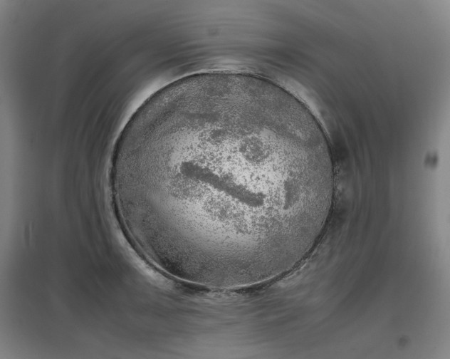 X0000096961091200802151230